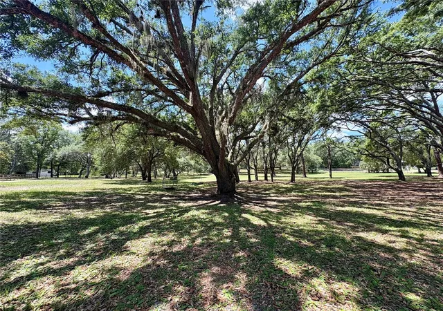 5th image of 390 Foothill Farms Rd, Orange City, FL 32763 | MLS# V4949116