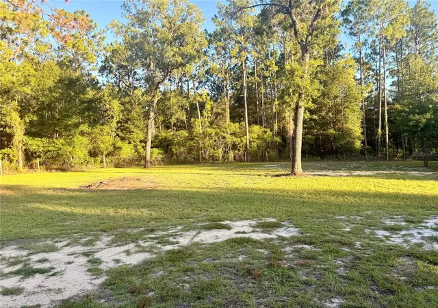 Homes for sale in Morriston, FL | 7561 Se 120th Ct, Morriston, FL 32668 | MLS# OM724829