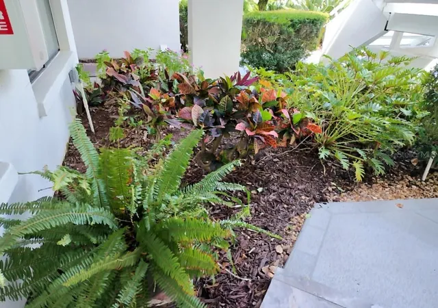 3rd image of 3549 Indigo Pond Dr #2, Palm Harbor, FL 34685 | MLS# TB8509250