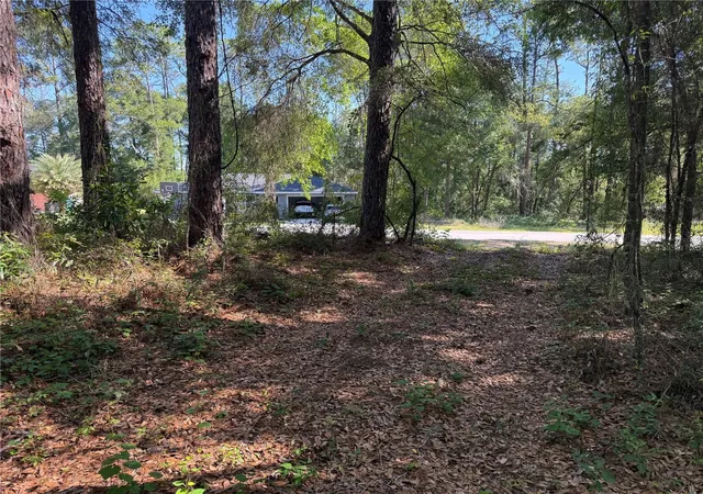 Photo 3 of Land for sale at 10927 N Airway Loop, Citrus Springs, FL 34434 | MLS# TB8509295 | Listing updated on 2026-05-16