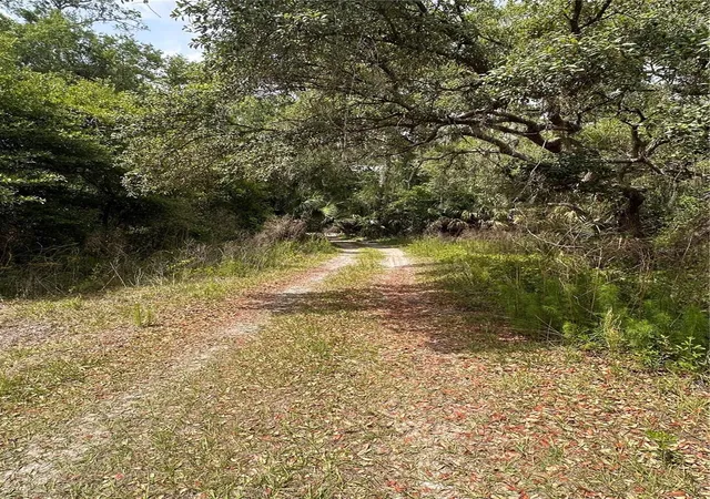 19th image of 8744 W Oak St, Crystal River, FL 34428 | MLS# TB8509340