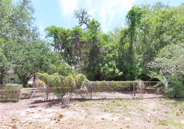 4th image of Mayo, Crystal Beach, FL 34681 | MLS# TB8509351