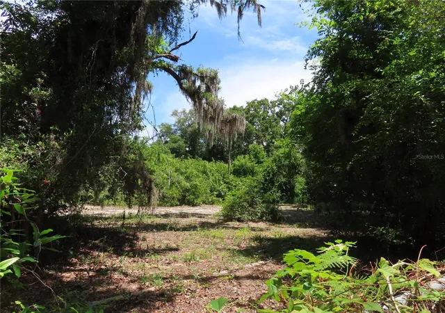 5th image of Mayo, Crystal Beach, FL 34681 | MLS# TB8509351