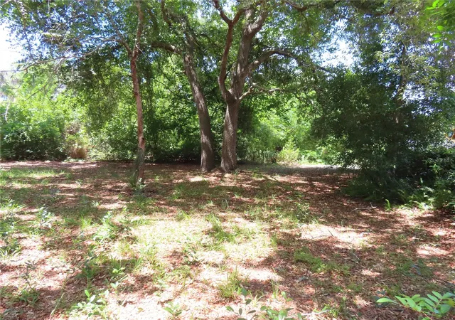 10th image of Mayo, Crystal Beach, FL 34681 | MLS# TB8509351