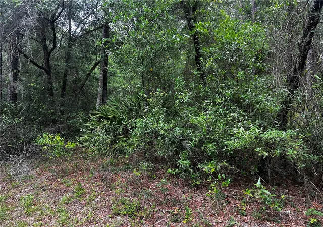Photo 1 of Land for sale at Tbd Sw 186th Court, Dunnellon, FL 34432 | MLS# OM724855 | Listing updated on 2026-05-16