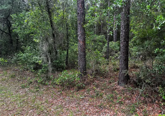 Photo 2 of Land for sale at Tbd Sw 186th Court, Dunnellon, FL 34432 | MLS# OM724855 | Listing updated on 2026-05-16