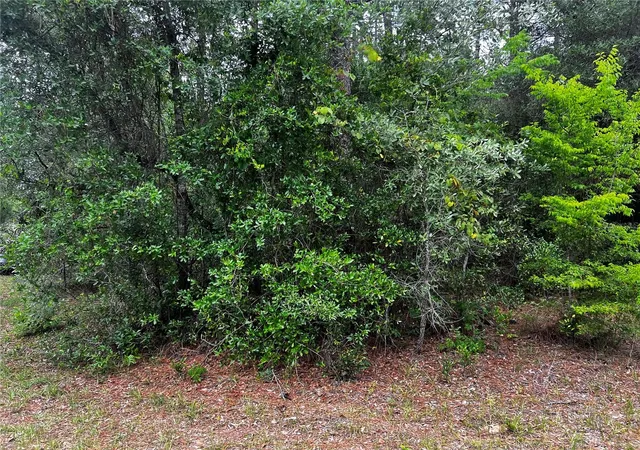 Photo 3 of Land for sale at Tbd Sw 186th Court, Dunnellon, FL 34432 | MLS# OM724855 | Listing updated on 2026-05-16