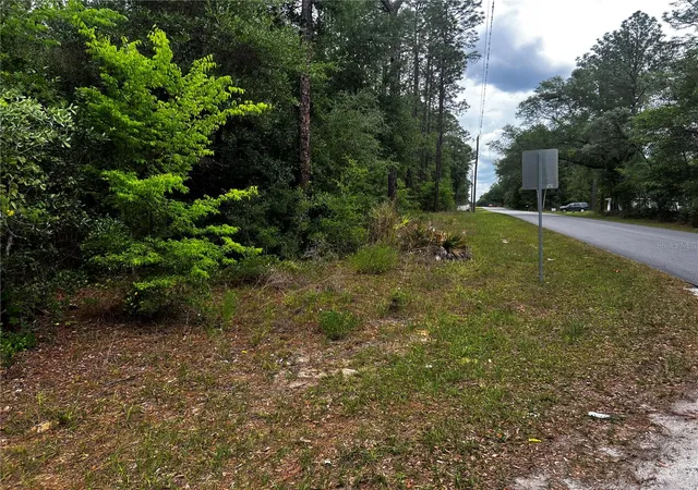 Photo 3 of Land for sale at Tbd SW 186th Court, Dunnellon, FL 34432 | MLS# OM724855 | Listing updated on 2026-05-16