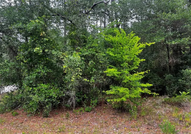 Photo 4 of Land for sale at Tbd SW 186th Court, Dunnellon, FL 34432 | MLS# OM724855 | Listing updated on 2026-05-16