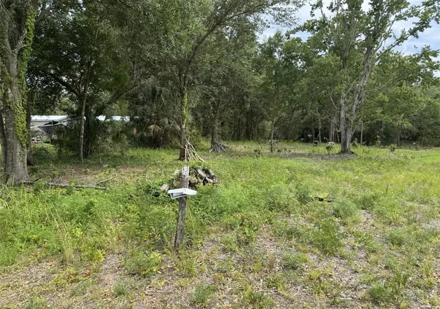 5th image of 9876 Sr 60 E, Lake Wales, FL 33853 | MLS# P4938742