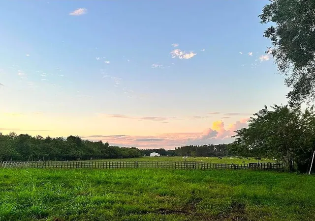 Photo 2 of Land for sale at 11710 Meadowdale Dr, Tampa, FL 33625 | MLS# TB8509413 | Listing updated on 2026-10-01