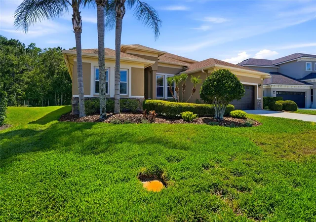 Homes for sale in Wesley Chapel, FL | 3320 Grassglen Pl, Wesley Chapel, FL 33544 | MLS# TB8509421