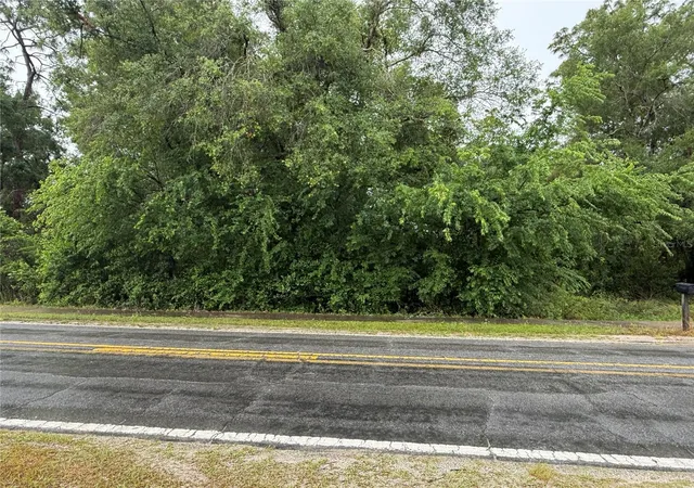 Homes for sale in Dade City, FL | 34184 Ridge Manor Blvd, Dade City, FL 33523 | MLS# TB8509449