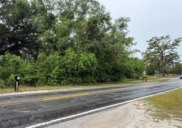 Homes for sale in Dade City, FL | 34184 Ridge Manor Blvd, Dade City, FL 33523 | MLS# TB8509449