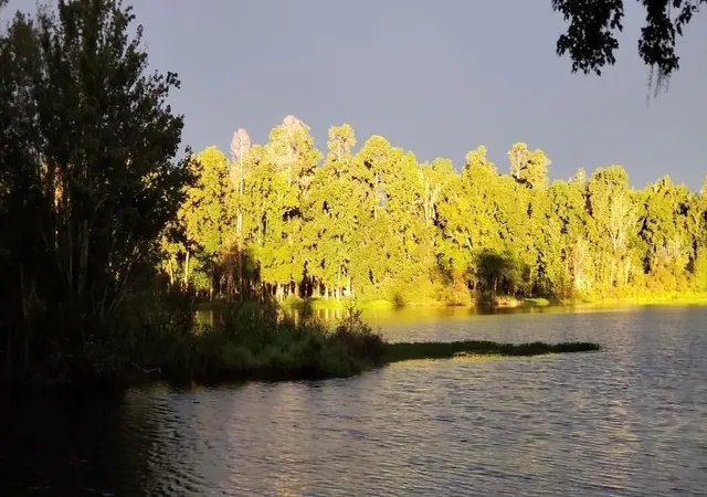 2nd image of 2092 Culbreath Rd #A78, Brooksville, FL 34602 | MLS# TB8509496