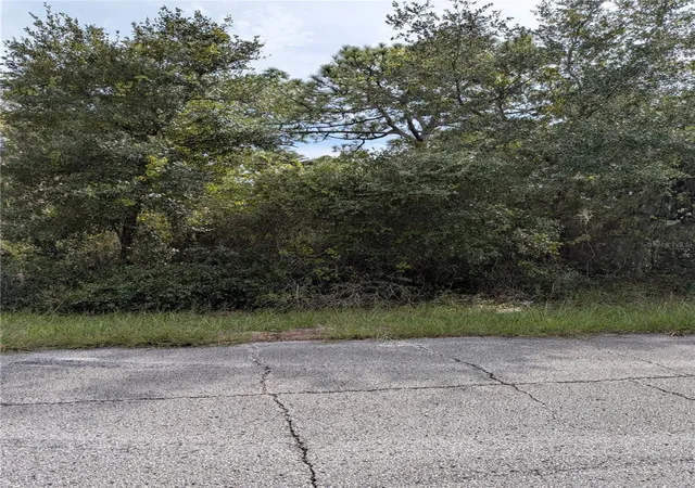Photo 2 of Land for sale at 408 Vernon Ct, Kissimmee, FL 34759 | MLS# S5150086 | Listing updated on 2026-09-24