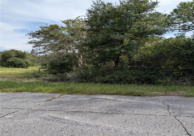 Photo 3 of Land for sale at 408 Vernon Ct, Kissimmee, FL 34759 | MLS# S5150086 | Listing updated on 2026-09-24