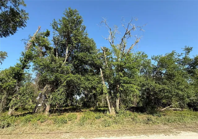 Land for sale at Owens Dr, ZEPHYRHILLS, FL 33540 | MLS# TB8509531