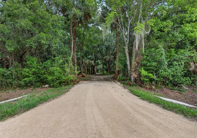 1st image of 0 N Us Hwy 301, Citra, FL 32113 | MLS# TB8509552