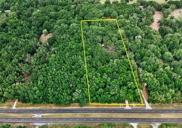 3rd image of 0 N Us Hwy 301, Citra, FL 32113 | MLS# TB8509552