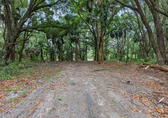4th image of 0 N Us Hwy 301, Citra, FL 32113 | MLS# TB8509552