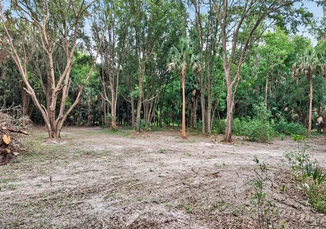48th image of 0 N Us Hwy 301, Citra, FL 32113 | MLS# TB8509552