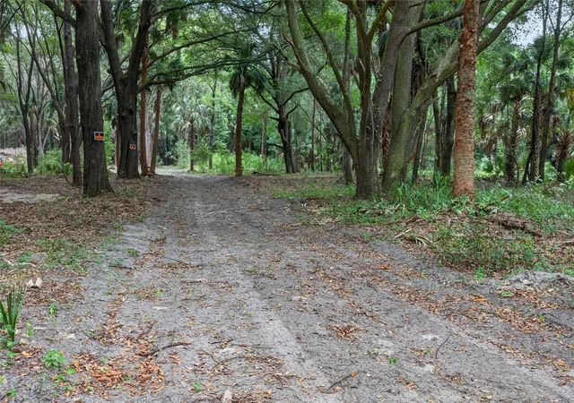5th image of 0 N Us Hwy 301, Citra, FL 32113 | MLS# TB8509552