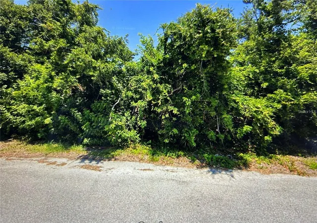 Photo 1 of Land for sale at 13357 Amaryllis Cir, Port Charlotte, FL 33981 | MLS# C7526320 | Listing updated on 2026-07-02