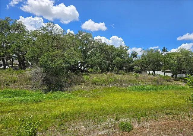 Homes for sale in Dade City, FL | 5066 Westlake Blvd, Dade City, FL 33523 | MLS# TB8509751