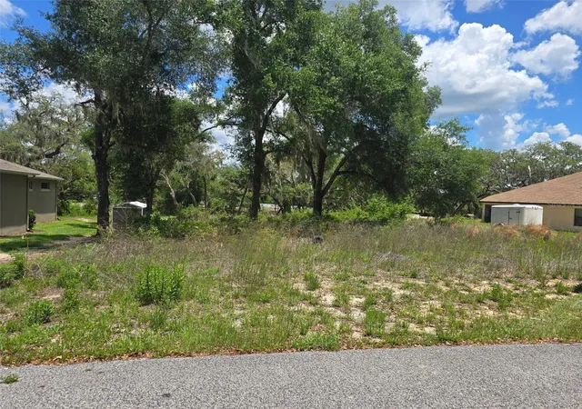 Homes for sale in Dade City, FL | 5066 Westlake Blvd, Dade City, FL 33523 | MLS# TB8509751