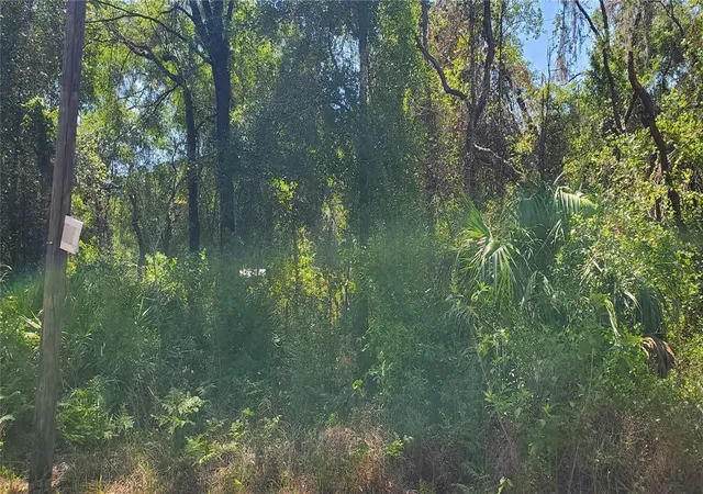 Photo 1 of Land for sale at Doaks St, New Port Richey, FL 34654 | MLS# W7885863 | Listing updated on 2026-05-19