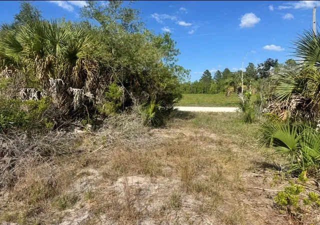 2nd image of 18455 Quiet Rd, Brooksville, FL 34614 | MLS# TB8509904