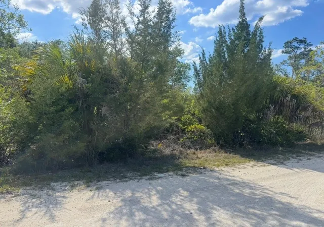 4th image of 18455 Quiet Rd, Brooksville, FL 34614 | MLS# TB8509904