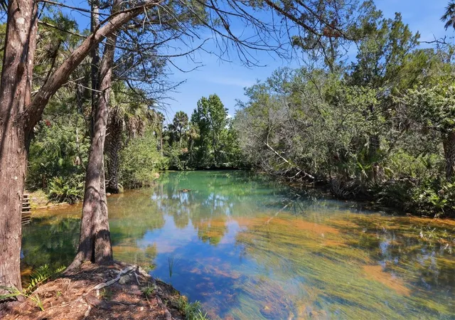 Photo 3 of Land for sale at 6248 Colony Cir, Weeki Wachee, FL 34607 | MLS# W7885885 | Listing updated on 2026-05-19