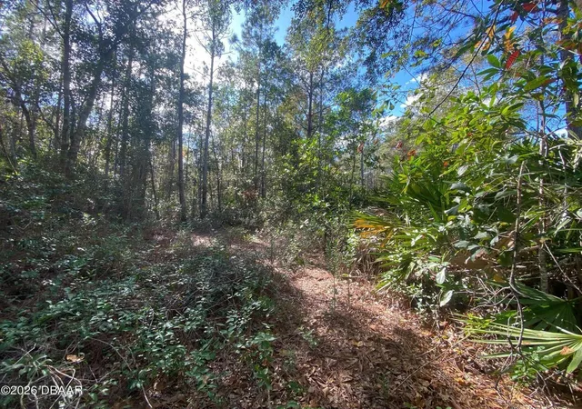1st image of 820 Old Bubbly Rd, Pierson, FL 32180 | MLS# FC318636