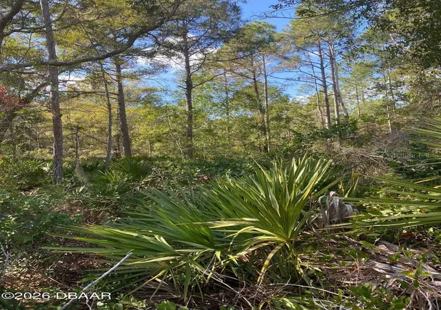 2nd image of 820 Old Bubbly Rd, Pierson, FL 32180 | MLS# FC318636