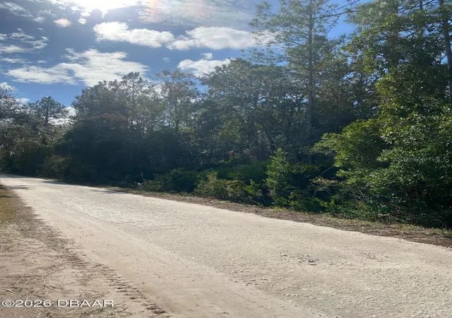 Photo 3 of Land for sale at 820 Old Bubbly Rd, Pierson, FL 32180 | MLS# FC318636 | Listing updated on 2026-09-02