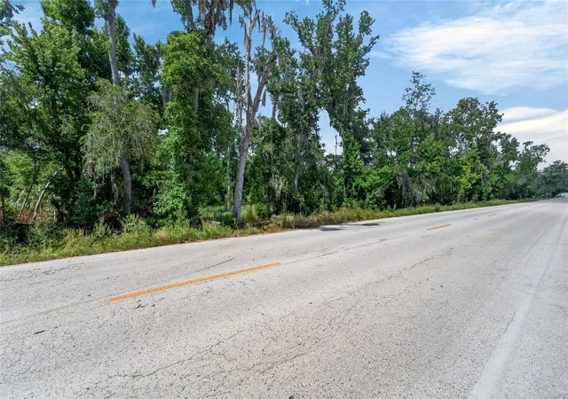 24th image of 672 Hwy, Lithia, FL 33547 | MLS# TB8510144