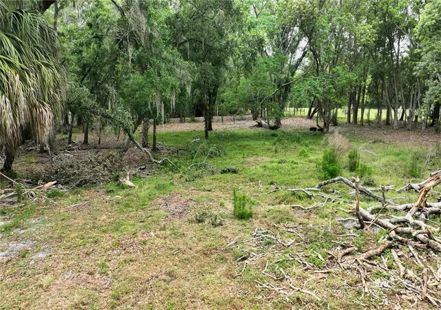 Photo 4 of Land for sale at Old Cone Grv Rd, Riverview, FL 33578 | MLS# A4694177 | Listing updated on 2026-09-11