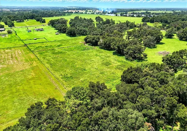 31st image of 39410 Sparkman Rd, Dade City, FL 33525 | MLS# L4962013