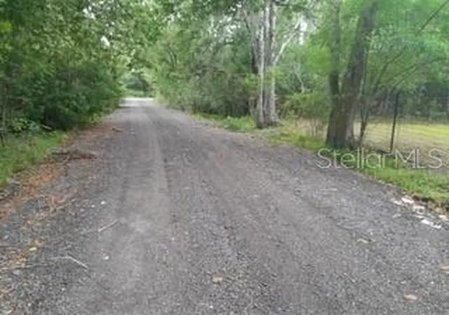 5th image of 10034 Burton St, New Port Richey, FL 34654 | MLS# TB8510277
