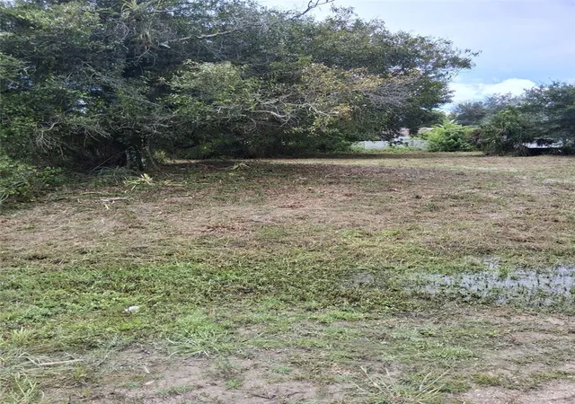 Photo 1 of Land for sale at 14070 Carlos St, Fort Myers, FL 33905 | MLS# O6409205 | Listing updated on 2026-05-20