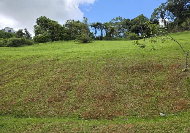 Homes for sale in Naranjito, PR | Carr 813 Km 25 Int, Naranjito, PR 00719 | MLS# PR9121472