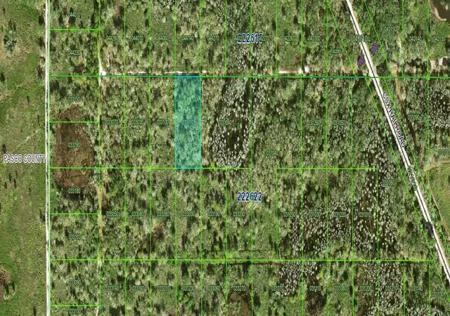Photo 2 of Land for sale at Inaccessible Tract, Kathleen, FL 33849 | MLS# K4903512 | Listing updated on 2026-05-23