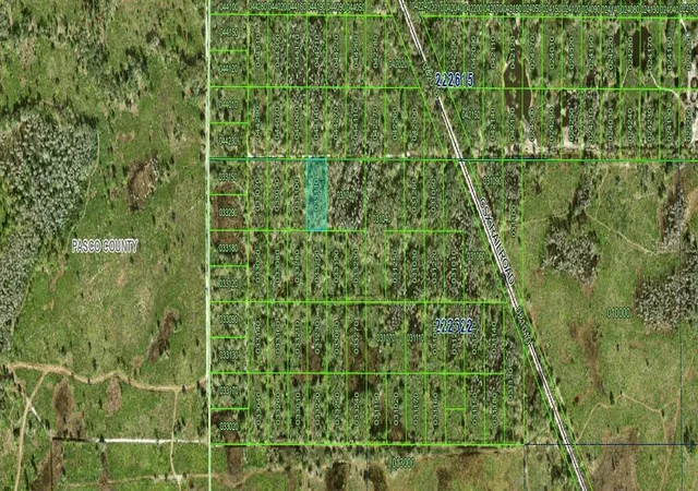 Photo 3 of Land for sale at Inaccessible Tract, Kathleen, FL 33849 | MLS# K4903512 | Listing updated on 2026-05-23