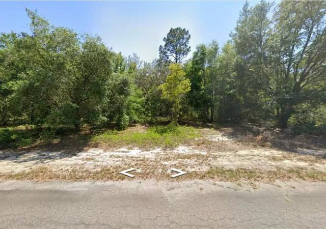 Photo 1 of Land for sale at 0 Guava Ln Pl, Ocklawaha, FL 32179 | MLS# O6409272 | Listing updated on 2026-08-15