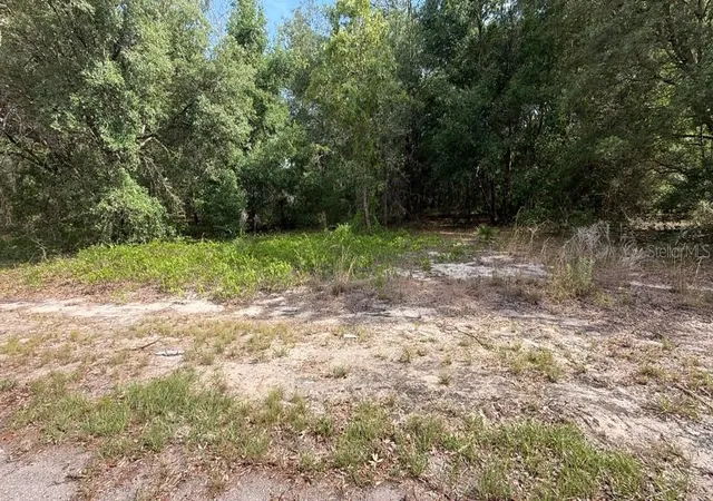 Photo 2 of Land for sale at 0 Guava Ln Pl, Ocklawaha, FL 32179 | MLS# O6409272 | Listing updated on 2026-08-15