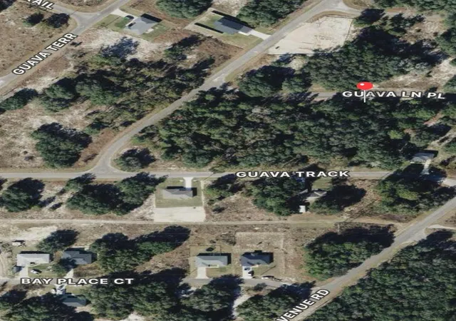Photo 3 of Land for sale at 0 Guava Ln Pl, Ocklawaha, FL 32179 | MLS# O6409272 | Listing updated on 2026-08-15