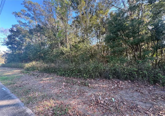 Photo 3 of Land for sale at Ne 14th Street, Ocala, FL 34470 | MLS# OM725039 | Listing updated on 2026-05-21