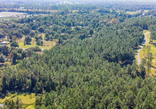 11th image of 24250 Deep Springs Loop, Eustis, FL 32736 | MLS# O6409397
